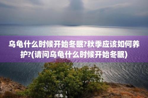 乌龟什么时候开始冬眠?秋季应该如何养护?(请问乌龟什么时候开始冬眠)