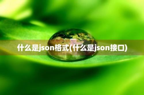 什么是json格式(什么是json接口)