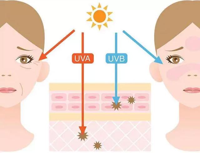 防晒霜的防晒指数和pa值（防晒霜怎么挑SPFPA指数是不是越高越好）(3)