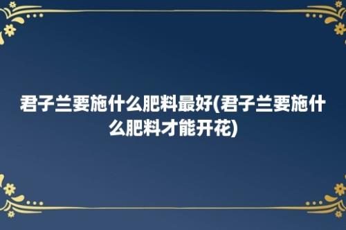 君子兰要施什么肥料最好(君子兰要施什么肥料才能开花)