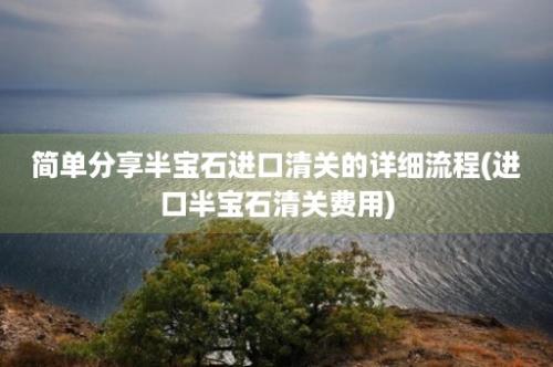 简单分享半宝石进口清关的详细流程(进口半宝石清关费用)