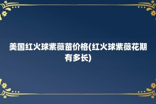 美国红火球紫薇苗价格(红火球紫薇花期有多长)