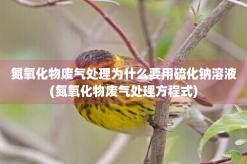 氮氧化物废气处理为什么要用硫化钠溶液(氮氧化物废气处理方程式)