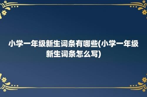 小学一年级新生词条有哪些(小学一年级新生词条怎么写)