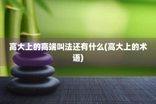 高大上的高端叫法还有什么(高大上的术语)