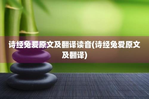 诗经兔爰原文及翻译读音(诗经兔爱原文及翻译)