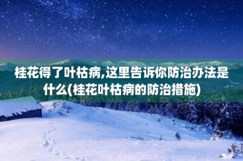 桂花得了叶枯病,这里告诉你防治办法是什么(桂花叶枯病的防治措施)