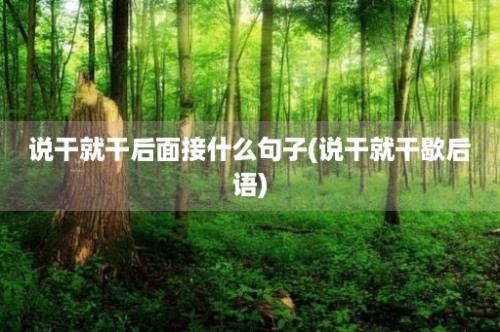 说干就干后面接什么句子(说干就干歇后语)