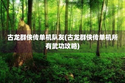 古龙群侠传单机队友(古龙群侠传单机所有武功攻略)