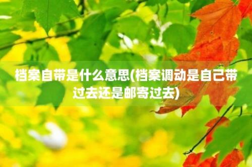 档案自带是什么意思(档案调动是自己带过去还是邮寄过去)