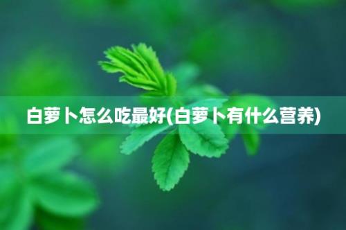 白萝卜怎么吃最好(白萝卜有什么营养)