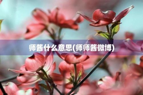 师酱什么意思(师师酱微博)