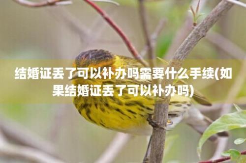 结婚证丢了可以补办吗需要什么手续(如果结婚证丢了可以补办吗)