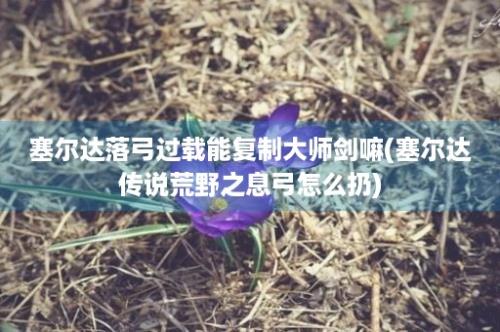 塞尔达落弓过载能复制大师剑嘛(塞尔达传说荒野之息弓怎么扔)