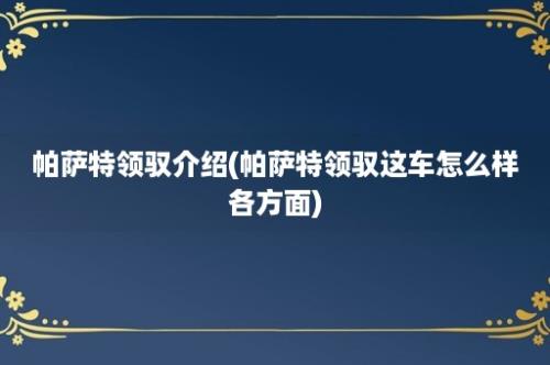 帕萨特领驭介绍(帕萨特领驭这车怎么样各方面)