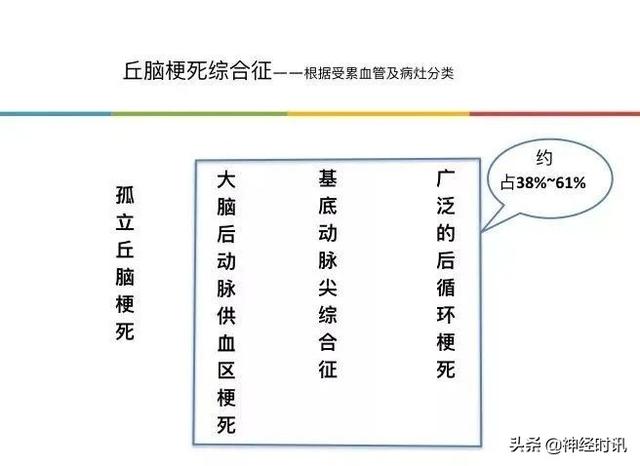 丘脑解剖结构图及功能（丘脑的解剖生理功能）(22)