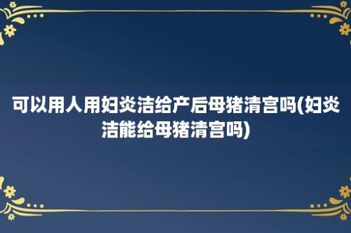 可以用人用妇炎洁给产后母猪清宫吗(妇炎洁能给母猪清宫吗)