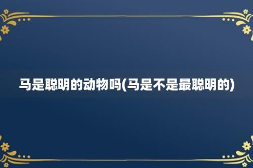 马是聪明的动物吗(马是不是最聪明的)