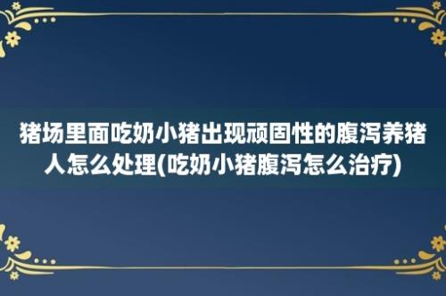 猪场里面吃奶小猪出现顽固性的腹泻养猪人怎么处理(吃奶小猪腹泻怎么治疗)