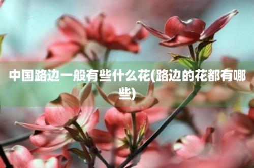 中国路边一般有些什么花(路边的花都有哪些)