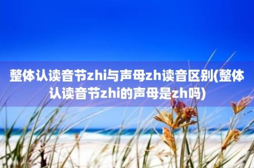 整体认读音节zhi与声母zh读音区别(整体认读音节zhi的声母是zh吗)