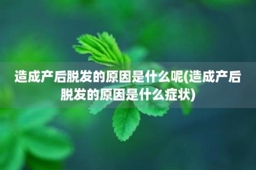 造成产后脱发的原因是什么呢(造成产后脱发的原因是什么症状)