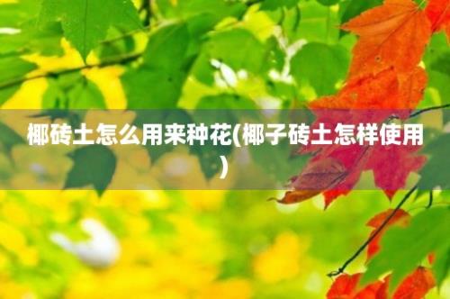 椰砖土怎么用来种花(椰子砖土怎样使用)