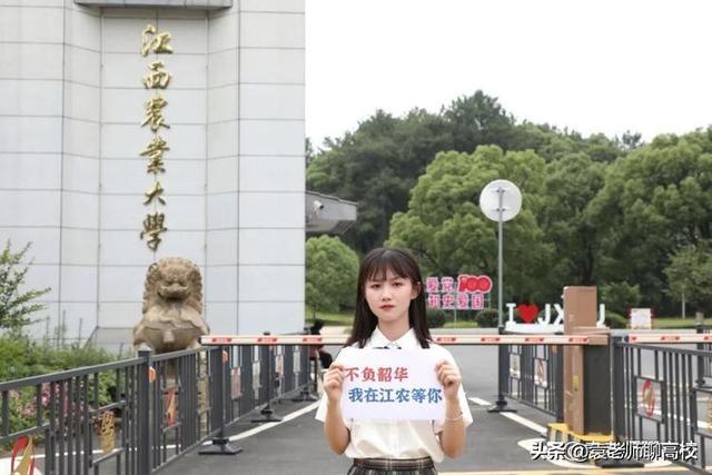 江西农业大学和山西农业大学对比（安徽农业大学和江西农业大学）(3)