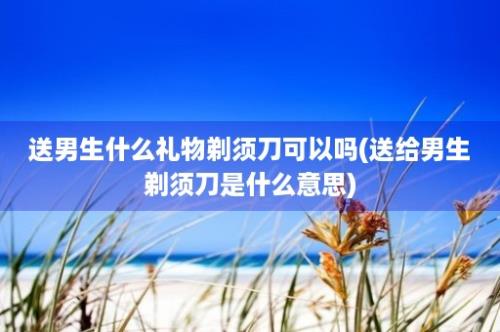 送男生什么礼物剃须刀可以吗(送给男生剃须刀是什么意思)