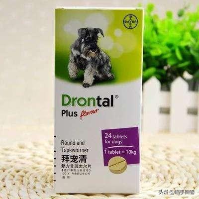 猫咪贫血的原因有哪些（猫咪贫血只是因为缺铁）(7)