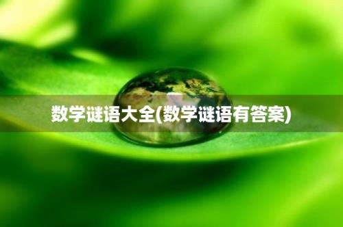 数学谜语大全(数学谜语有答案)