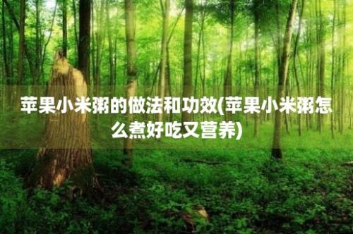 苹果小米粥的做法和功效(苹果小米粥怎么煮好吃又营养)