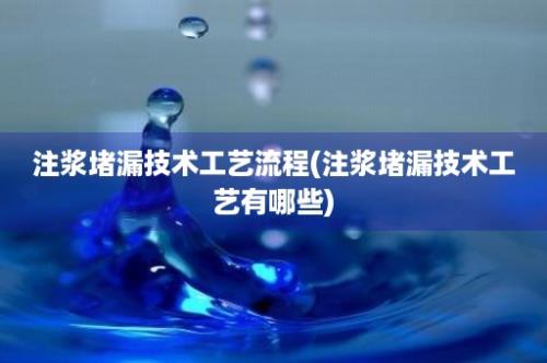 注浆堵漏技术工艺流程(注浆堵漏技术工艺有哪些)