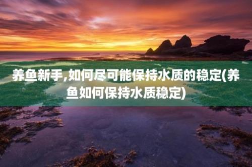 养鱼新手,如何尽可能保持水质的稳定(养鱼如何保持水质稳定)