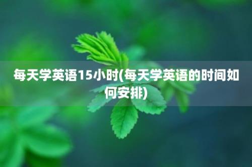 每天学英语15小时(每天学英语的时间如何安排)