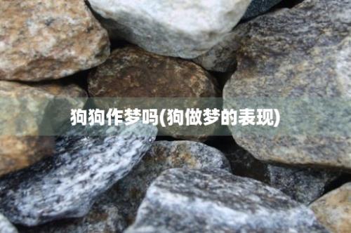 狗狗作梦吗(狗做梦的表现)