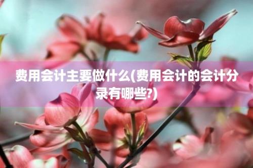 费用会计主要做什么(费用会计的会计分录有哪些?)