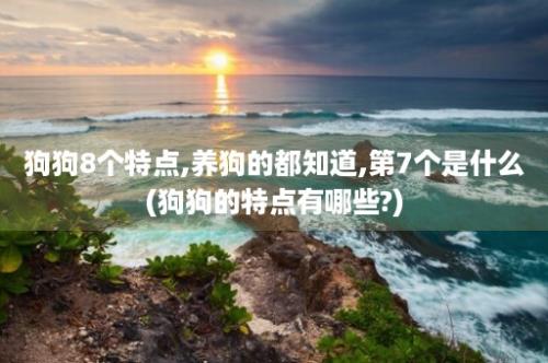 狗狗8个特点,养狗的都知道,第7个是什么(狗狗的特点有哪些?)