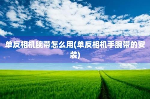 单反相机腕带怎么用(单反相机手腕带的安装)