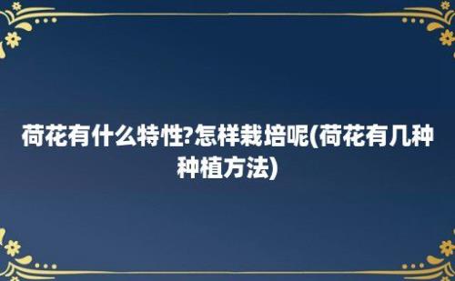 荷花有什么特性?怎样栽培呢(荷花有几种种植方法)