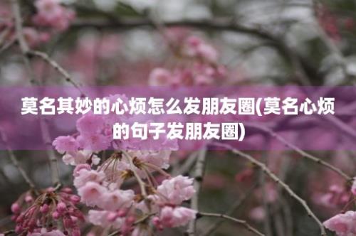 莫名其妙的心烦怎么发朋友圈(莫名心烦的句子发朋友圈)