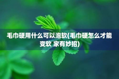 毛巾硬用什么可以泡软(毛巾硬怎么才能变软 家有妙招)