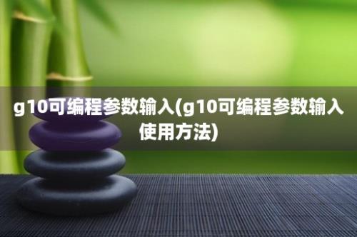 g10可编程参数输入(g10可编程参数输入使用方法)