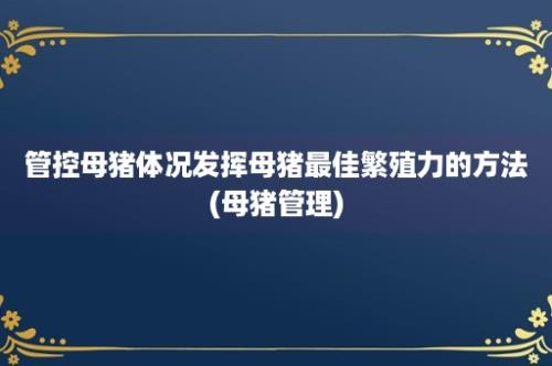 管控母猪体况发挥母猪最佳繁殖力的方法(母猪管理)