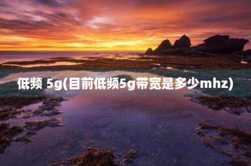 低频 5g(目前低频5g带宽是多少mhz)