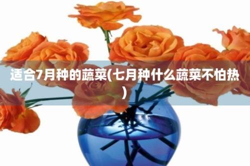 适合7月种的蔬菜(七月种什么蔬菜不怕热)