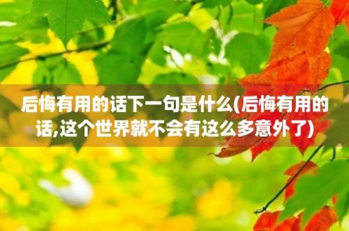 后悔有用的话下一句是什么(后悔有用的话,这个世界就不会有这么多意外了)