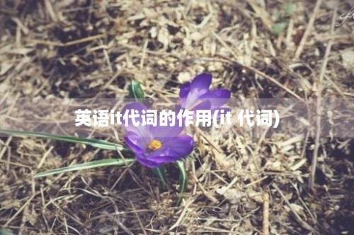 英语it代词的作用(it 代词)