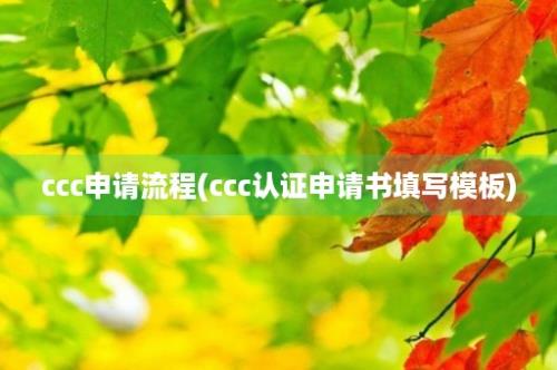 ccc申请流程(ccc认证申请书填写模板)