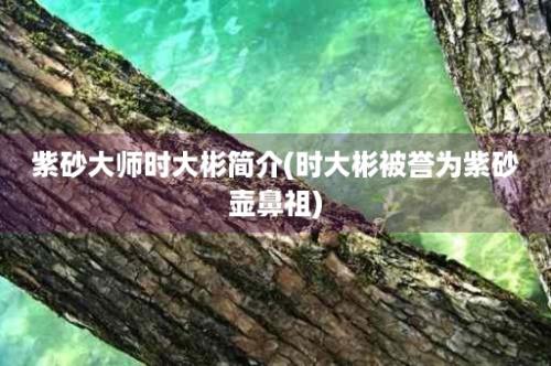 紫砂大师时大彬简介(时大彬被誉为紫砂壶鼻祖)